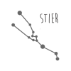stier_1